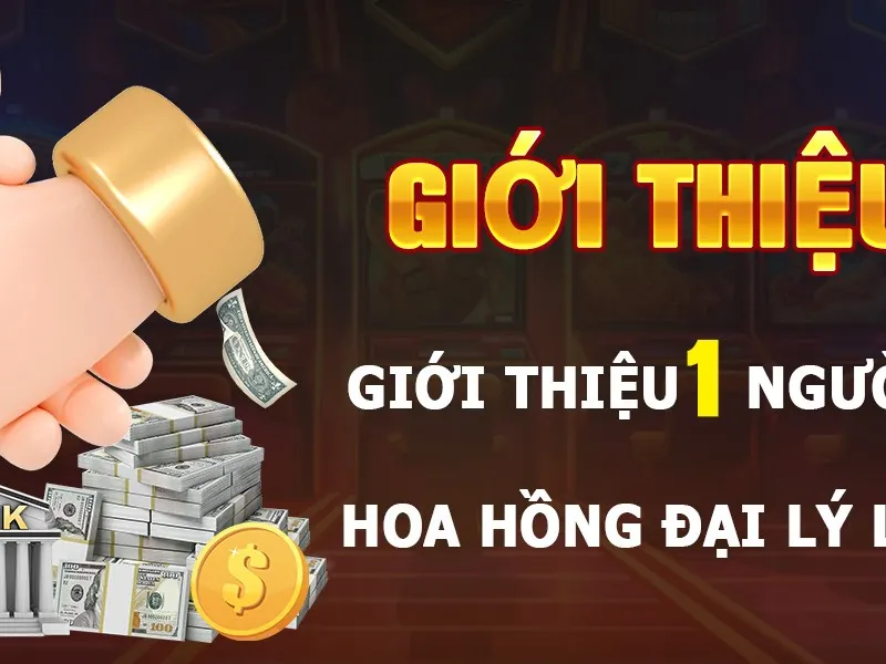 Hoàn trả tiền cược và chương trình VIP
